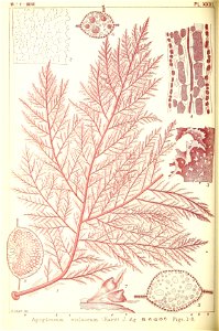 n217_w1150