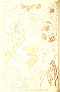 n107_w1150