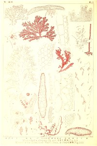 n9_w1150