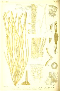 n213_w1150