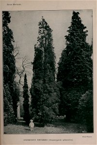 n218_w1150