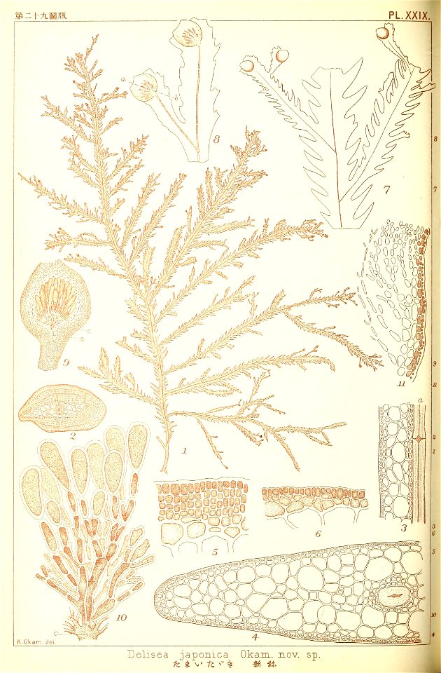 n205_w1150