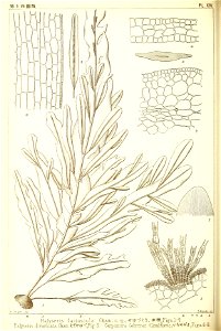 n93_w1150