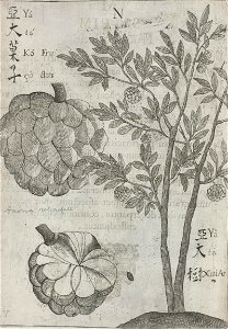 n48_w1150