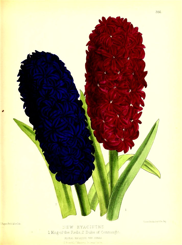n74_w1150