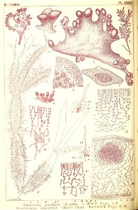 n241_w1150