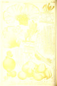 n131_w1150