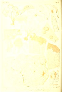 n31_w1150