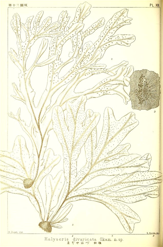 n89_w1150