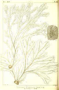 n89_w1150