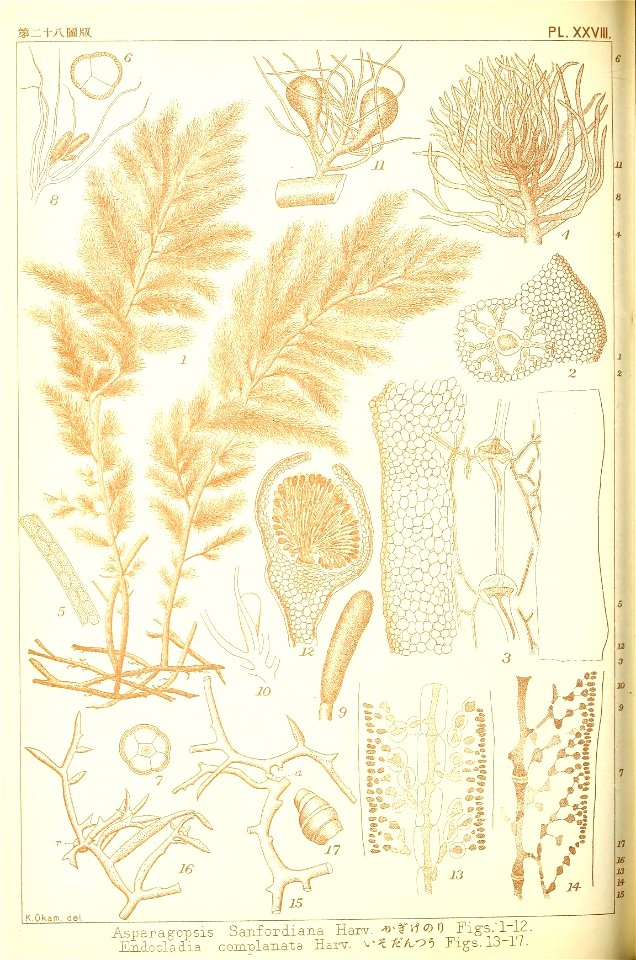 n189_w1150