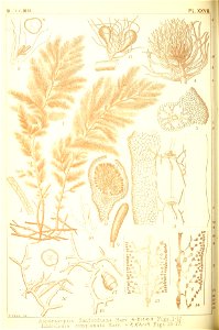 n189_w1150