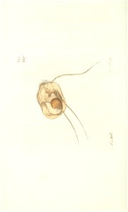 n207_w1150