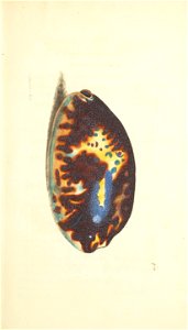 n18_w1150