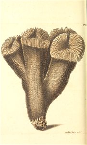 n119_w1150