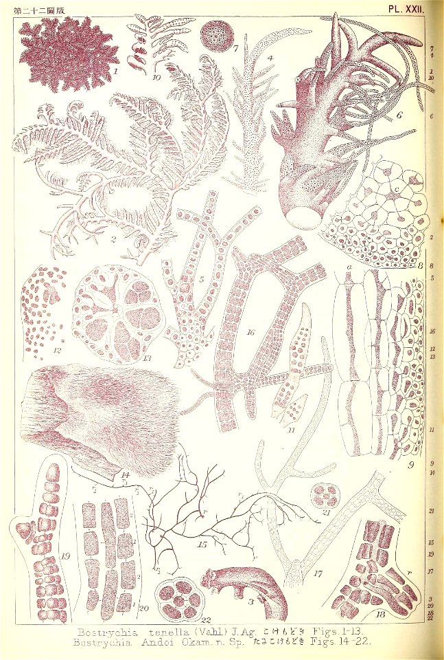 n149_w1150