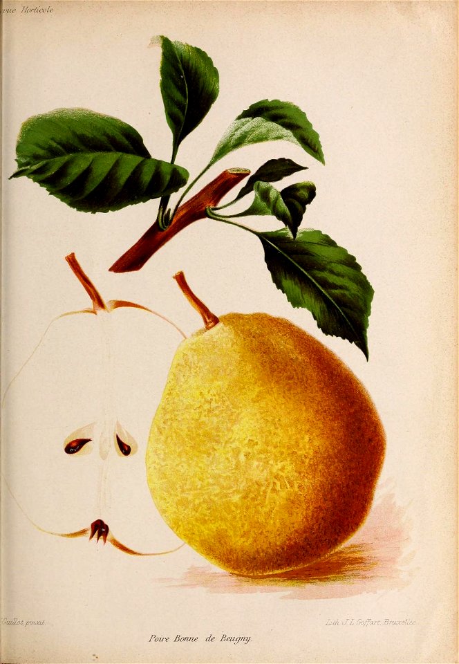 n362_w1150