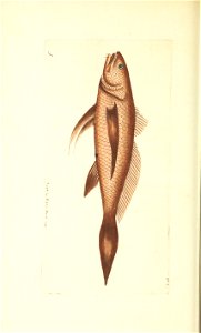 n171_w1150