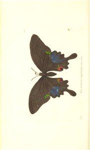 n58_w1150