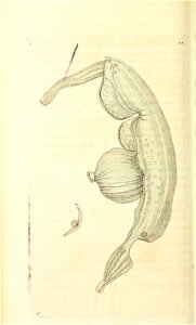 n179_w1150