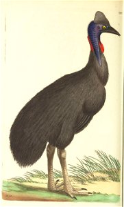 n259_w1150