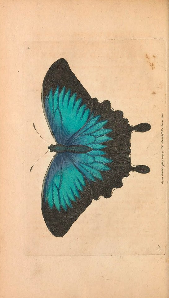 n119_w1150