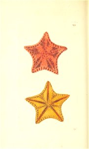 n187_w1150