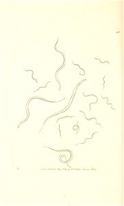 n214_w1150