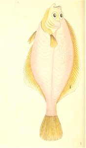 n121_w1150
