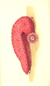 n166_w1150