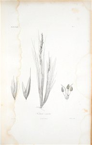 n296_w1150