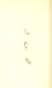 n105_w1150