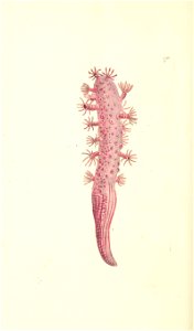 n156_w1150