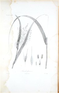 n292_w1150