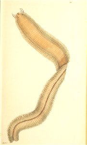 n76_w1150