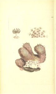 n167_w1150