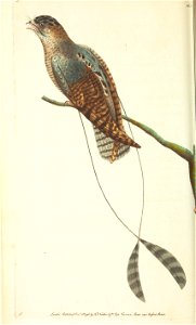 n69_w1150