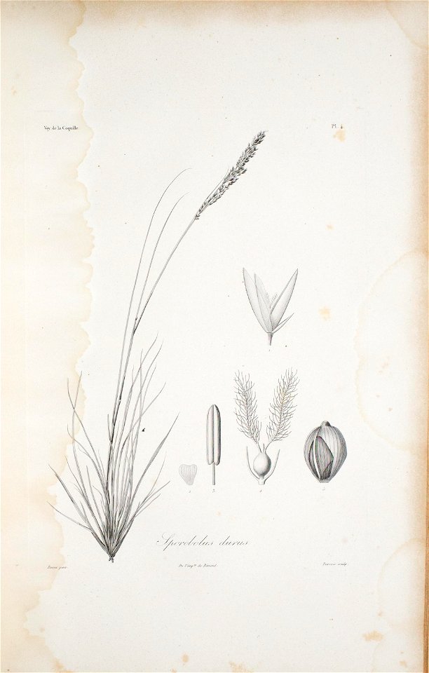 n290_w1150