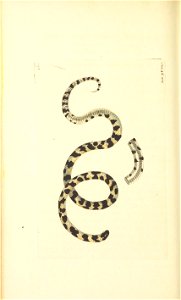 n251_w1150
