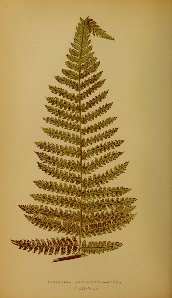 n221_w1150