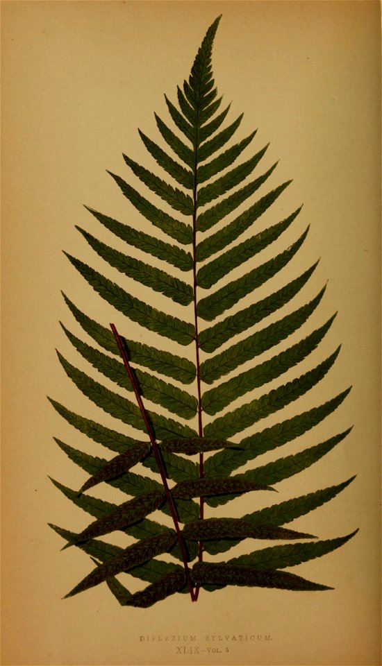 n249_w1150