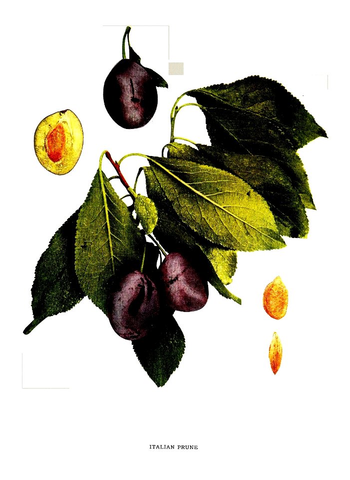 n388_w1150