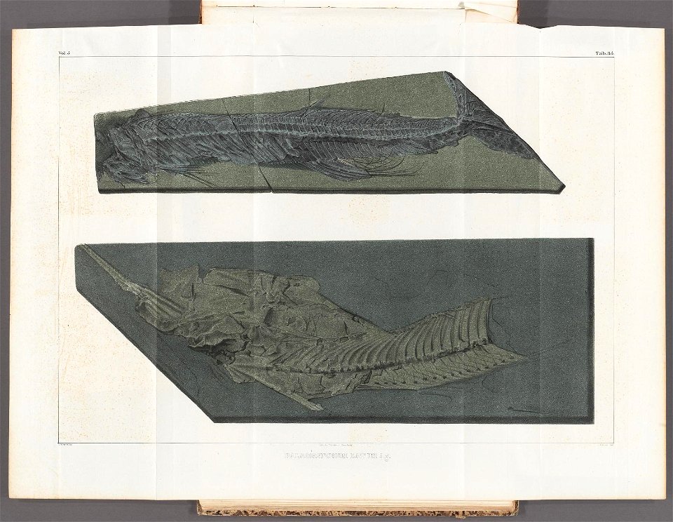 n59_w1150