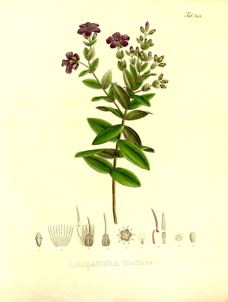 n42_w1150