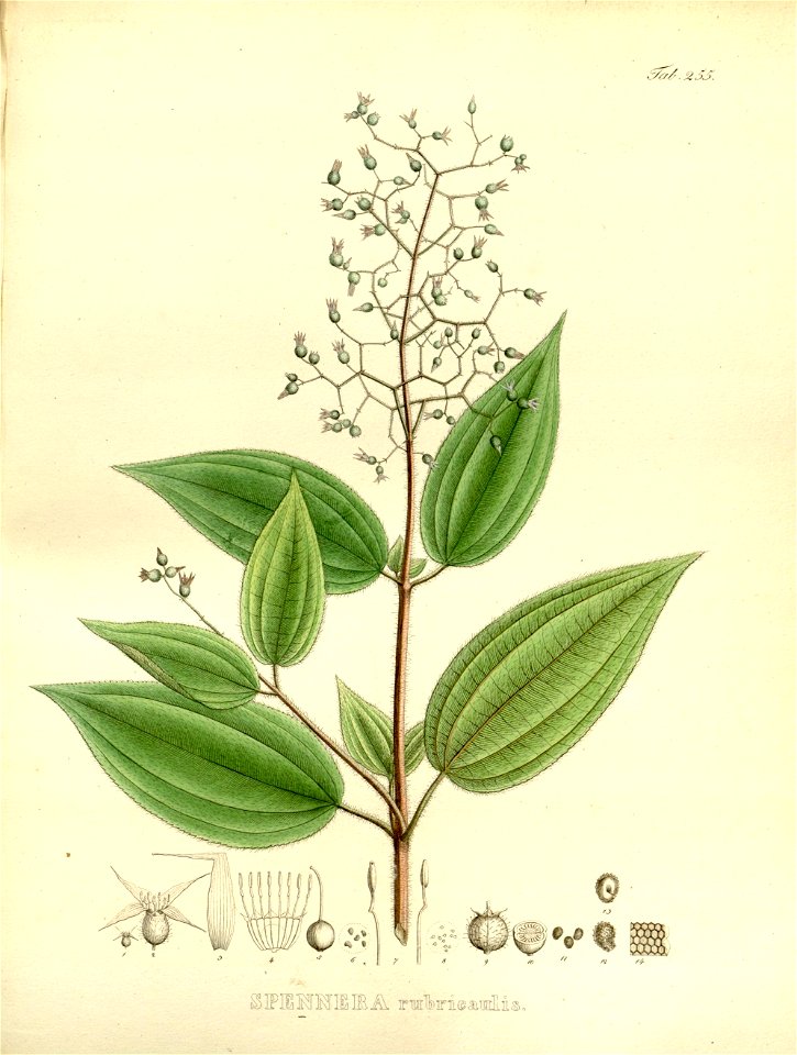n55_w1150