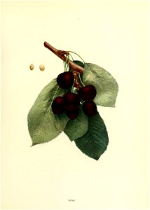 n148_w1150