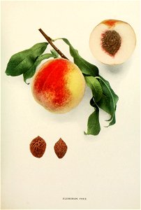 n406_w1150