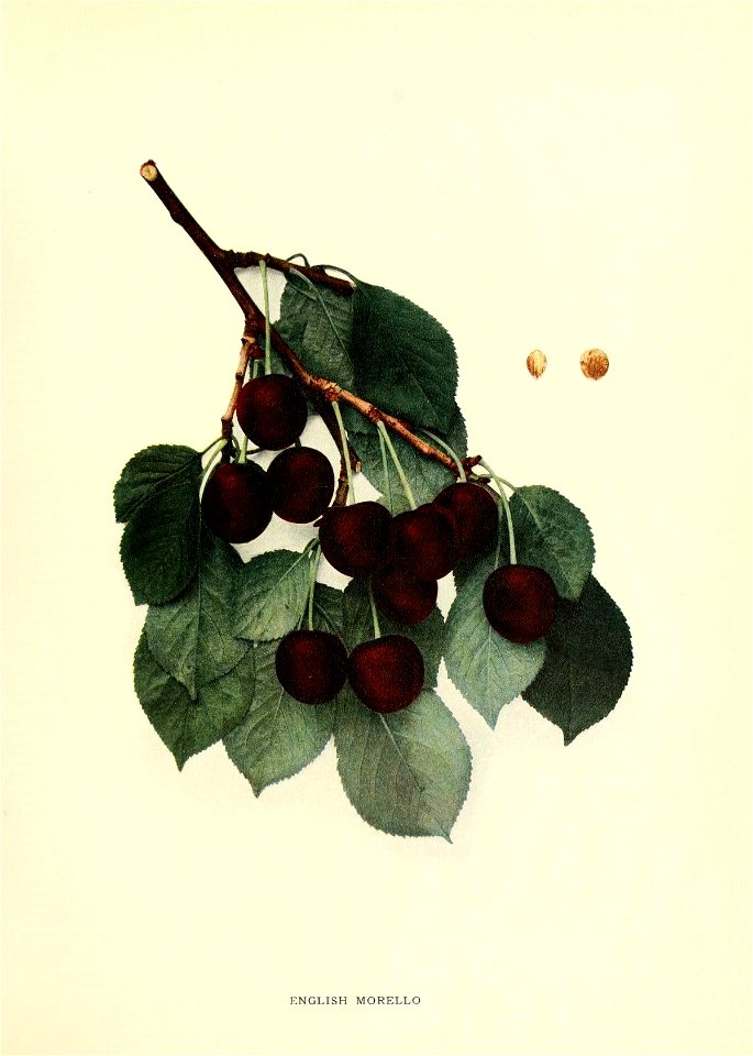 n212_w1150