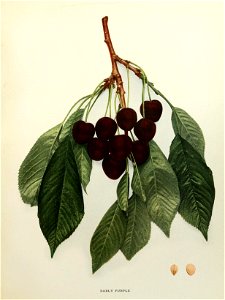 n196_w1150