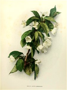 n102_w1150